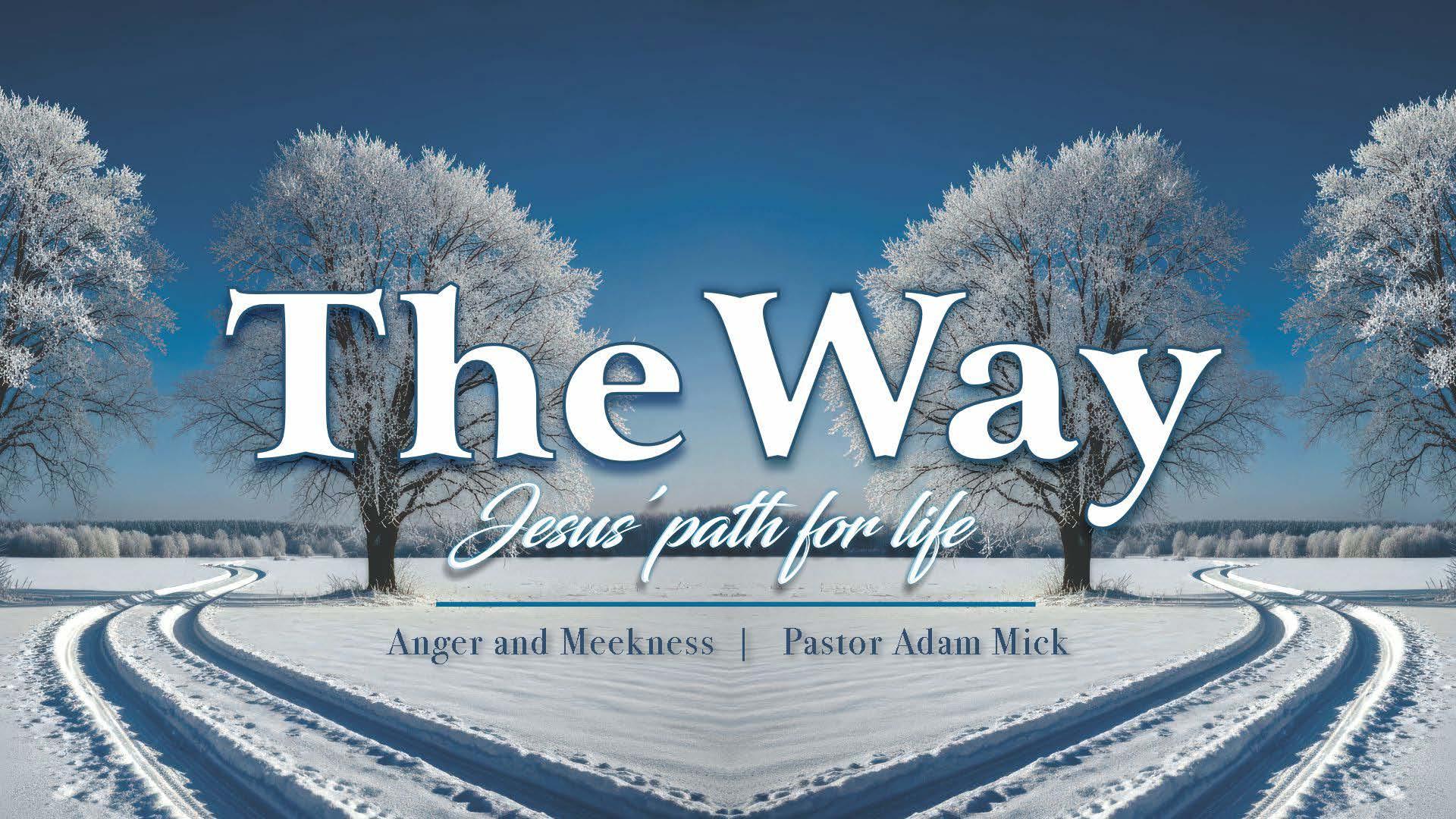 Thumbnail for Anger & Meekness